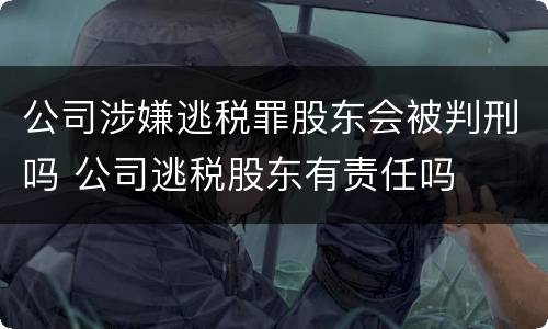 公司涉嫌逃税罪股东会被判刑吗 公司逃税股东有责任吗