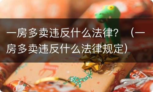 一房多卖违反什么法律？（一房多卖违反什么法律规定）