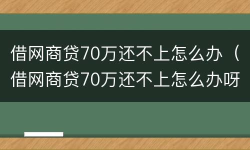 借网商贷70万还不上怎么办（借网商贷70万还不上怎么办呀）