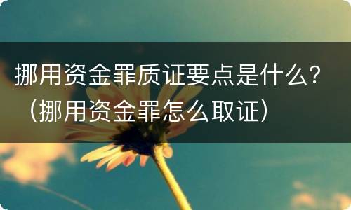 挪用资金罪质证要点是什么？（挪用资金罪怎么取证）