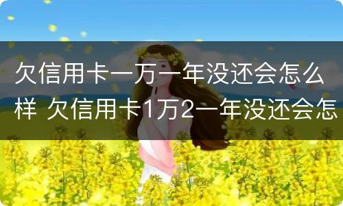 欠信用卡一万一年没还会怎么样 欠信用卡1万2一年没还会怎样
