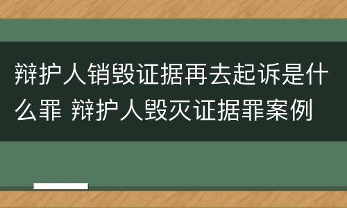 辩护人销毁证据再去起诉是什么罪 辩护人毁灭证据罪案例