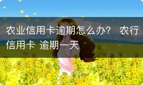农业信用卡逾期怎么办？ 农行信用卡 逾期一天
