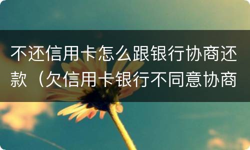 不还信用卡怎么跟银行协商还款（欠信用卡银行不同意协商还款）