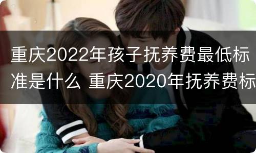 重庆2022年孩子抚养费最低标准是什么 重庆2020年抚养费标准