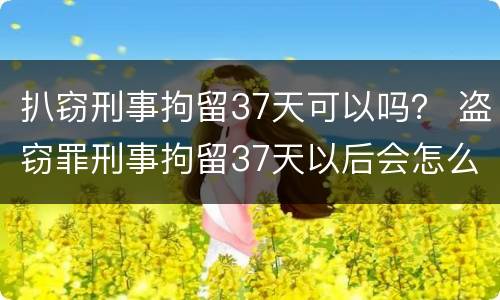 扒窃刑事拘留37天可以吗？ 盗窃罪刑事拘留37天以后会怎么样