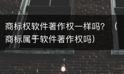 商标权软件著作权一样吗？（商标属于软件著作权吗）