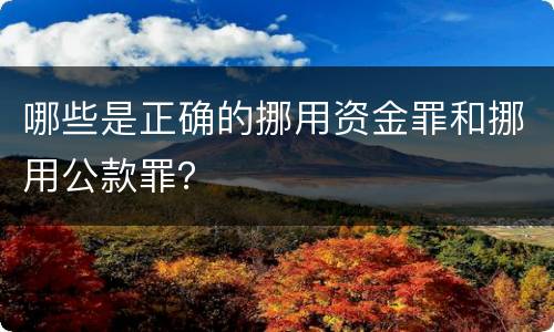哪些是正确的挪用资金罪和挪用公款罪？