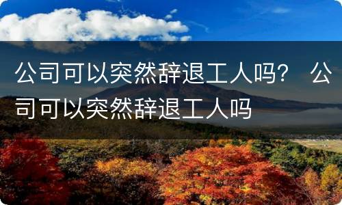 公司可以突然辞退工人吗？ 公司可以突然辞退工人吗