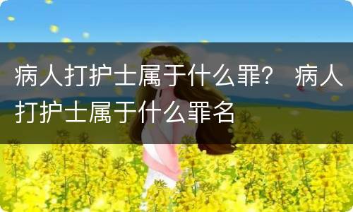 病人打护士属于什么罪？ 病人打护士属于什么罪名