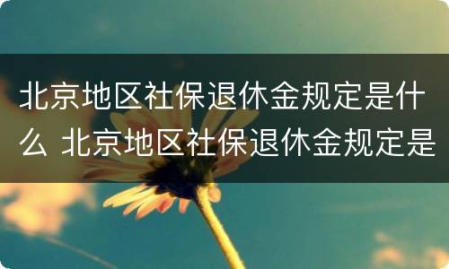 北京地区社保退休金规定是什么 北京地区社保退休金规定是什么时候开始