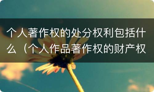 个人著作权的处分权利包括什么（个人作品著作权的财产权利）