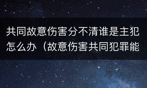 共同故意伤害分不清谁是主犯怎么办（故意伤害共同犯罪能区分责任）