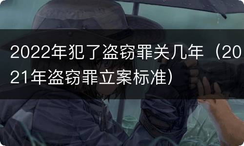 2022年犯了盗窃罪关几年（2021年盗窃罪立案标准）