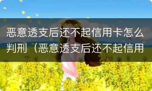 恶意透支后还不起信用卡怎么判刑（恶意透支后还不起信用卡怎么判刑呢）
