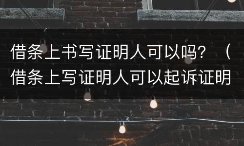 借条上书写证明人可以吗？（借条上写证明人可以起诉证明人吗）