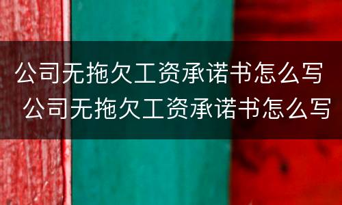 公司无拖欠工资承诺书怎么写 公司无拖欠工资承诺书怎么写的