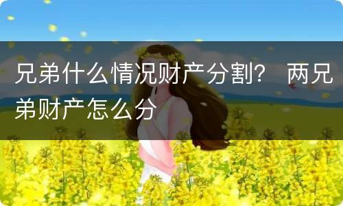 兄弟什么情况财产分割？ 两兄弟财产怎么分