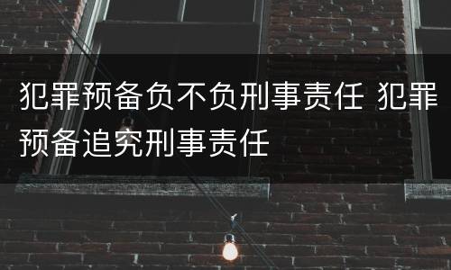 犯罪预备负不负刑事责任 犯罪预备追究刑事责任