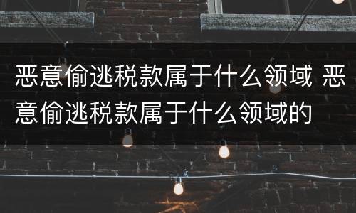 恶意偷逃税款属于什么领域 恶意偷逃税款属于什么领域的