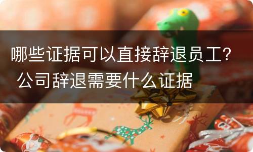 哪些证据可以直接辞退员工？ 公司辞退需要什么证据