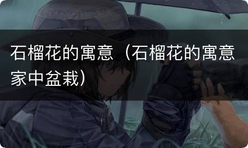 石榴花的寓意（石榴花的寓意家中盆栽）