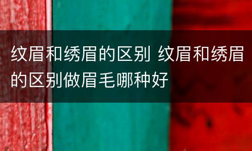 纹眉和绣眉的区别 纹眉和绣眉的区别做眉毛哪种好