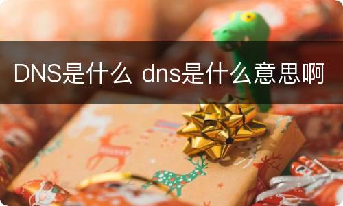DNS是什么 dns是什么意思啊