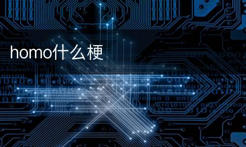 homo什么梗