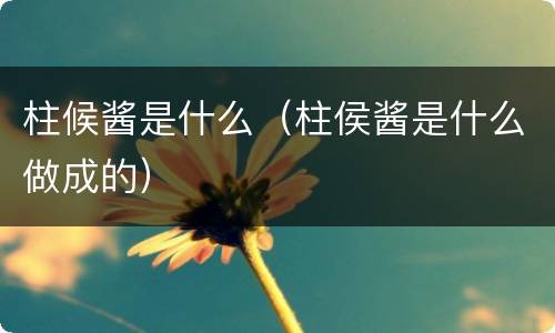 柱候酱是什么（柱侯酱是什么做成的）