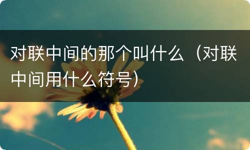 对联中间的那个叫什么（对联中间用什么符号）