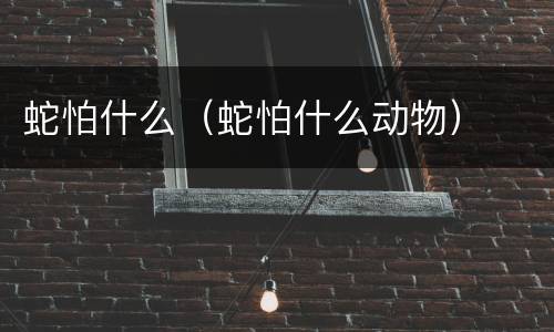 蛇怕什么（蛇怕什么动物）