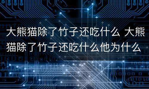 大熊猫除了竹子还吃什么 大熊猫除了竹子还吃什么他为什么吃这些东西