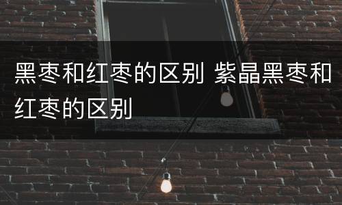 黑枣和红枣的区别 紫晶黑枣和红枣的区别