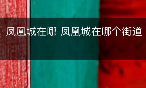 凤凰城在哪 凤凰城在哪个街道