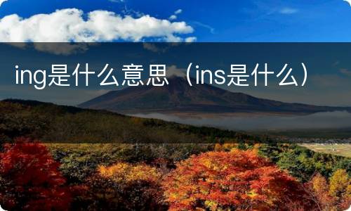 ing是什么意思（ins是什么）
