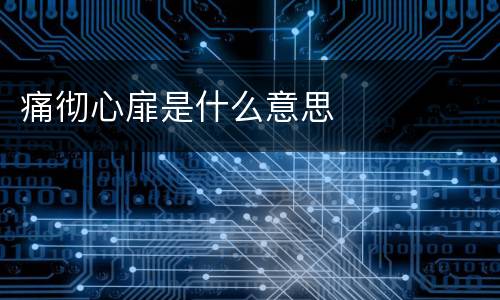 痛彻心扉是什么意思