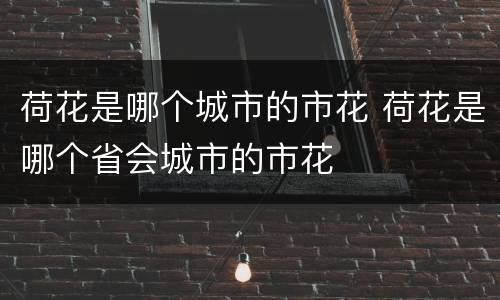 荷花是哪个城市的市花 荷花是哪个省会城市的市花