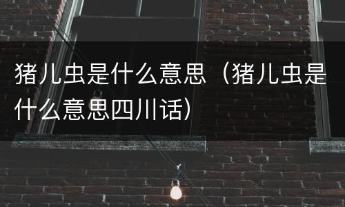 猪儿虫是什么意思（猪儿虫是什么意思四川话）
