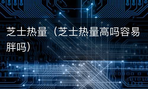 芝士热量（芝士热量高吗容易胖吗）