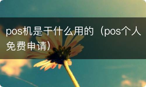 pos机是干什么用的（pos个人免费申请）