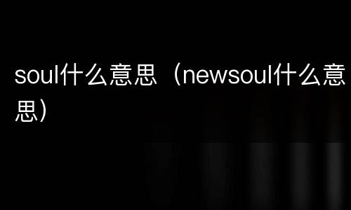 soul什么意思（newsoul什么意思）
