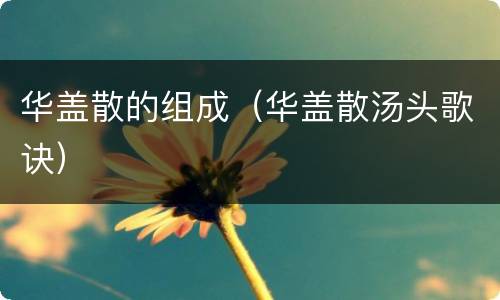 华盖散的组成（华盖散汤头歌诀）