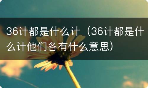 36计都是什么计（36计都是什么计他们各有什么意思）