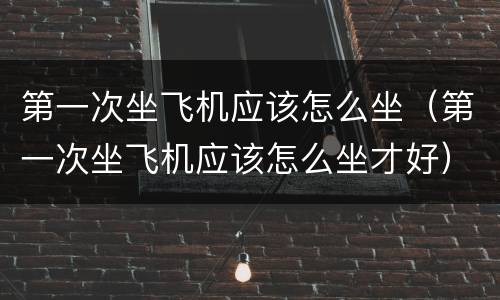 第一次坐飞机应该怎么坐（第一次坐飞机应该怎么坐才好）