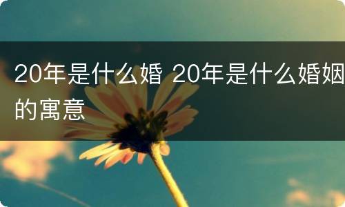 20年是什么婚 20年是什么婚姻的寓意