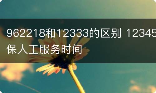 962218和12333的区别 12345医保人工服务时间