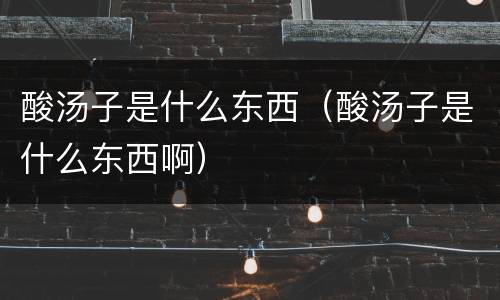 酸汤子是什么东西（酸汤子是什么东西啊）