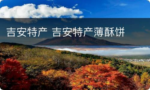 吉安特产 吉安特产薄酥饼