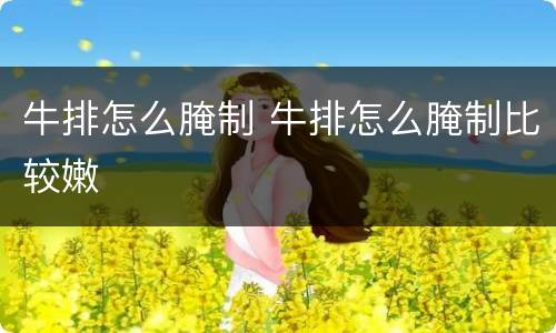 牛排怎么腌制 牛排怎么腌制比较嫩